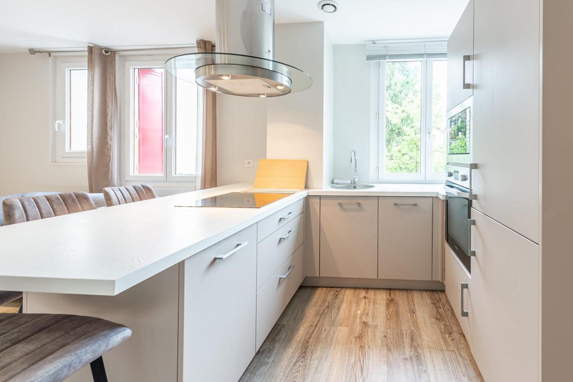 Rio Appartement Au Centre Ville Annecy Eksteriør billede
