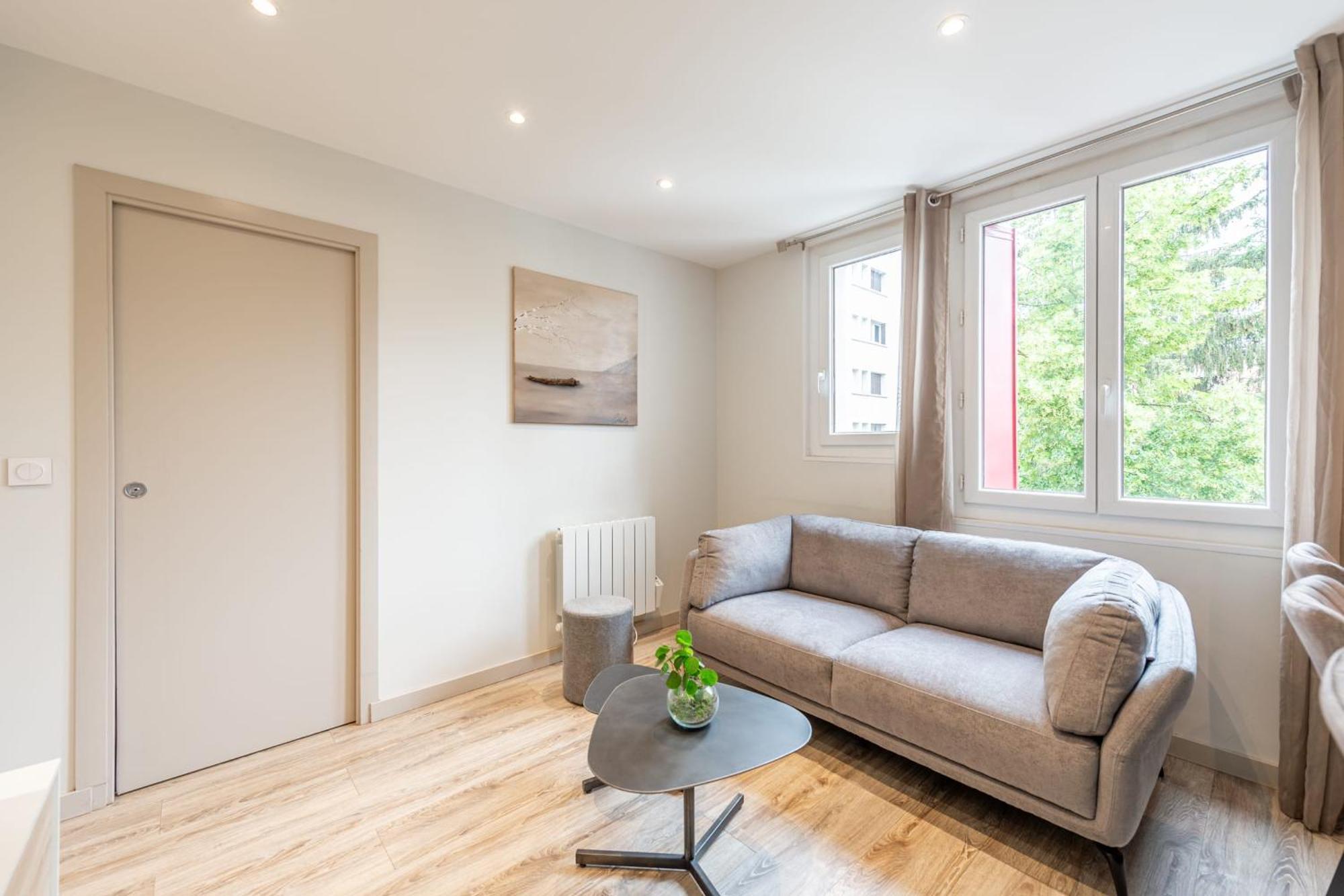 Rio Appartement Au Centre Ville Annecy Eksteriør billede